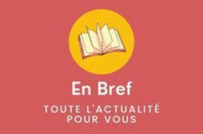 En bref