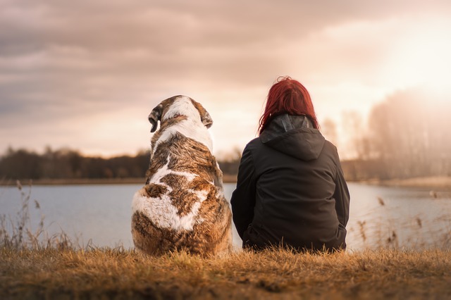 Animal de compagnie : comment adopter un chien ?