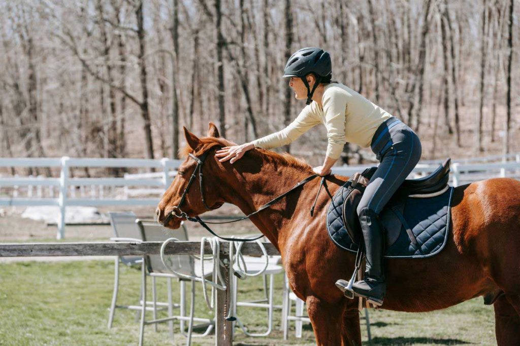 Équitation : 10 erreurs courantes