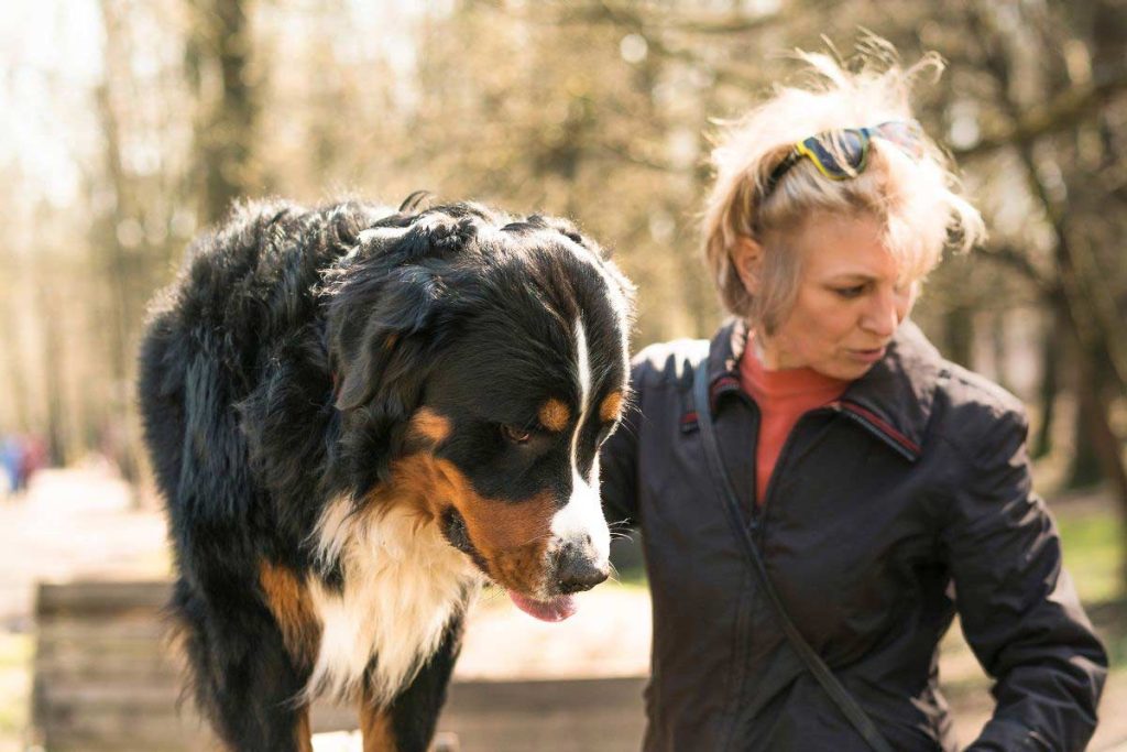 Apprendre à son chien à ne pas aboyer sans raison